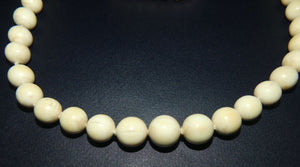 Victorian era Strand of Ivory Graduated Beads