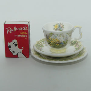 Royal Doulton Brambly Hedge Giftware | Spring miniature tea duo | boxed