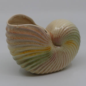 shorter-and-son-large-nautilus-shell-318