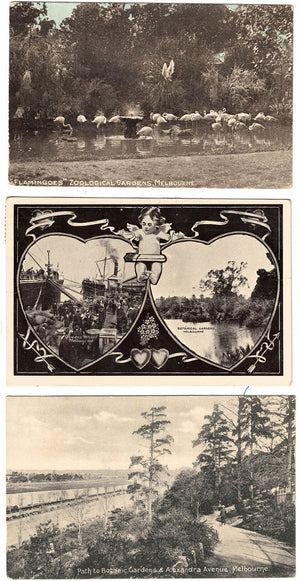 Three early Melbourne Postcards | Path to Botanic Gardens, Queens Wharf + Botanic Gardens, Zoological Gardens