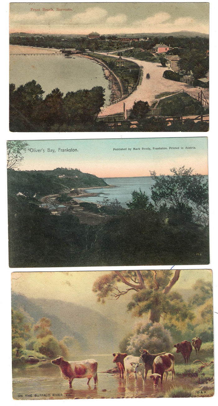 3 early Scenic Victoria Postcards | Front Beach, Sorrento | Oliver's Bay, Frankston | Buffalo River