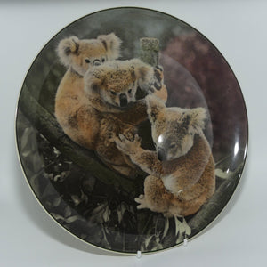 Royal Doulton Australian Views plate #5 | Koala Bears D6424 | #2