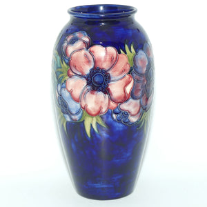 Walter Moorcroft Anemone on Blue ground tall cylinder 393/10 vase  #1