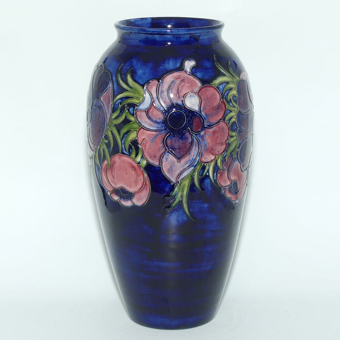 Walter Moorcroft Anemone on Blue ground very tall cylinder vase