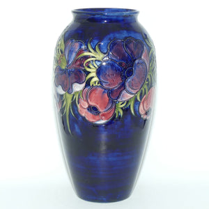 Walter Moorcroft Anemone (Blue) very tall cylinder vase