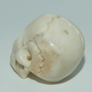 Japanese Carved Bone Netsuke | Skull