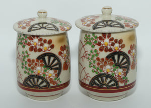 Pair of Oriental Waterwheel and Cherry Blossom decorated pots