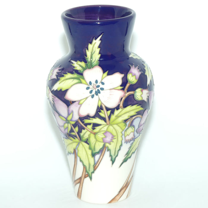 Moorcroft Ooty 23/8 vase | LE 23/30