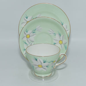 Royal Grafton Peppermint Pastel and Floral tea trio