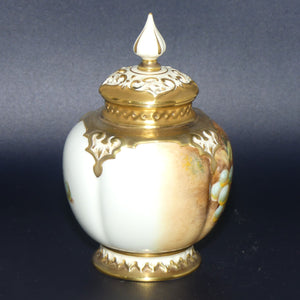 Royal Worcester hand painted fruit round potpourri | H278 Shape | Roberts