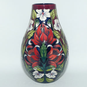 Moorcroft Pottery | Scarlett Waratah 117/9 vase | LE35/50 | Hardy Brothers exclusive