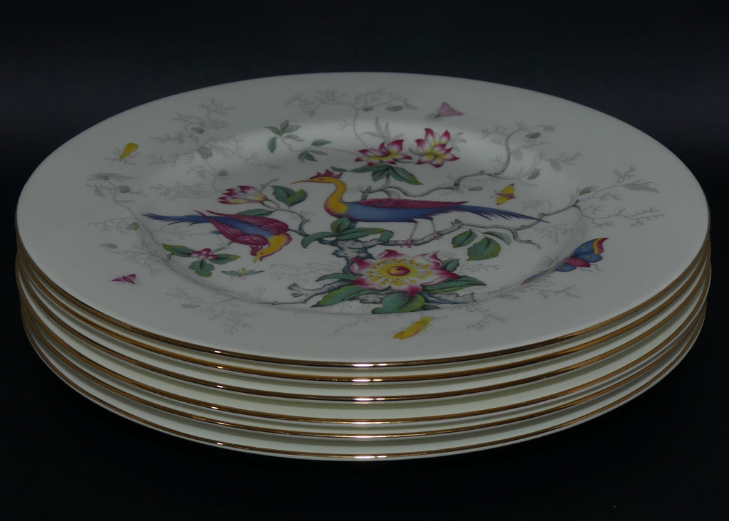 Coalport Bone China | Tulip Tree pattern | set of 6 dinner plates | 27.2cms diam