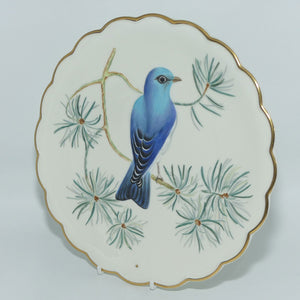 Royal Worcester | The Birds of Dorothy Doughty plates | Mountain Bluebird and Pine | boxed