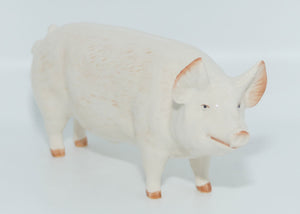 #1453A Beswick Pig | Boar Ch. Wall Champion Boy 53rd