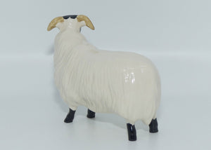 #1765 Beswick Black Faced Sheep