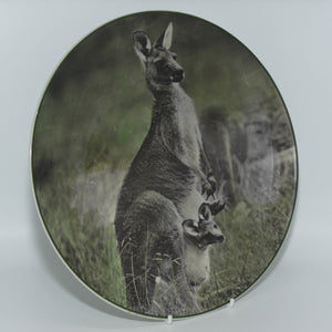 Royal Doulton Australian Views plate #4 | Mother Kangaroo with Joey TC1059
