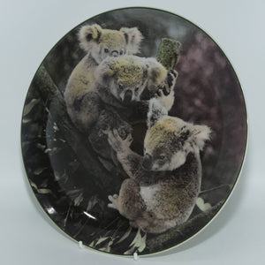 Royal Doulton Australian Views plate #5 | Koala Bears D6424