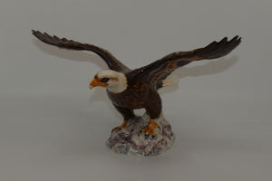 1018-beswick-bald-eagle