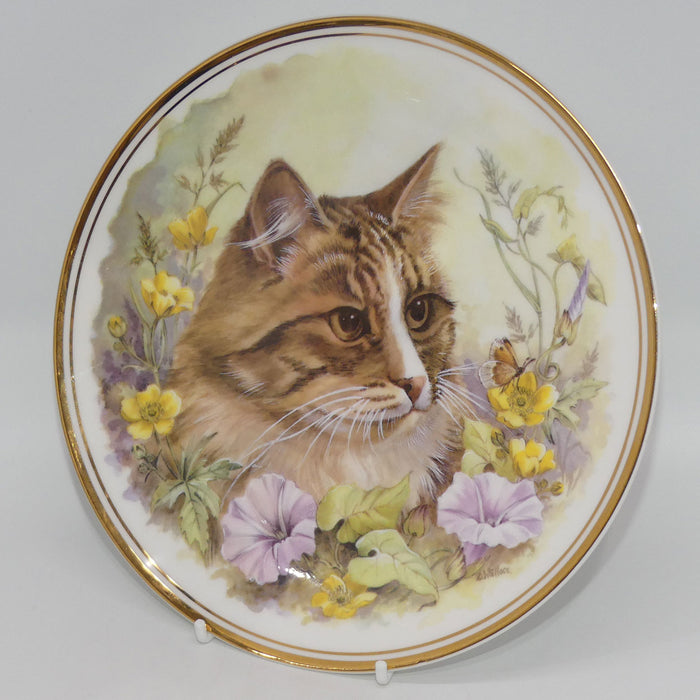 Royal Vale Bone China Cat plate | signed D Wallace