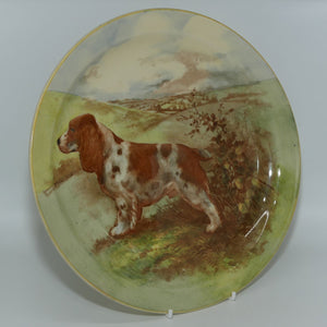 Royal Doulton seriesware Dogs plate | #1 English Springer Spaniel D5383