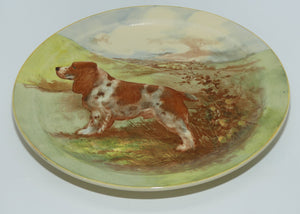 Royal Doulton seriesware Dogs plate | #1 English Springer Spaniel D5383