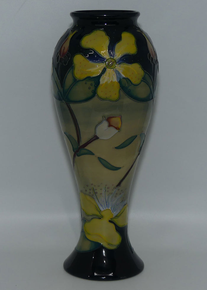 Moorcroft Hypericum 75/11 vase