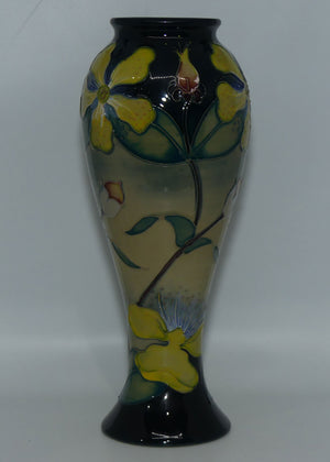 Moorcroft Pottery | Hypericum 75/11 vase | Rachel Bishop