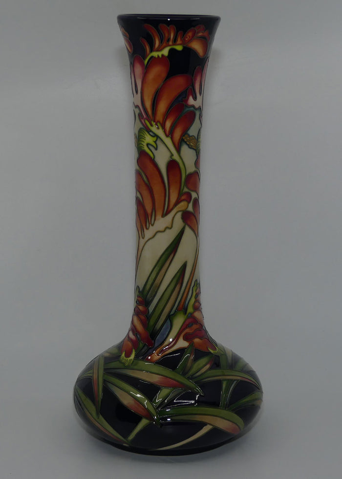 Moorcroft Kangaroo Paw vase 99/15 (Num Ed)
