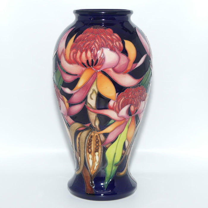 Moorcroft New World Waratah 46/10 vase | TRIAL 17.6.13