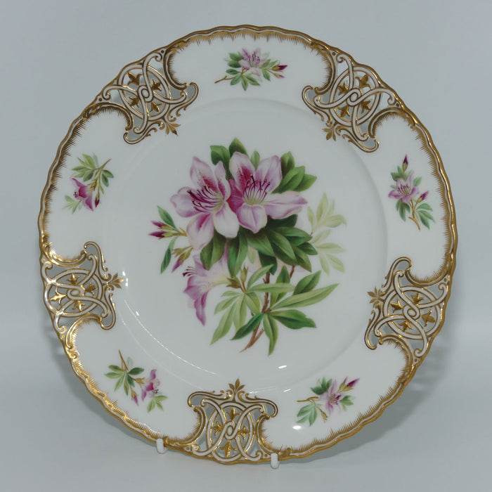 Fine Quality pierced gallery Floral decorated cabinet plate