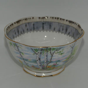 royal-albert-bone-china-england-silver-birch-sugar-bowl