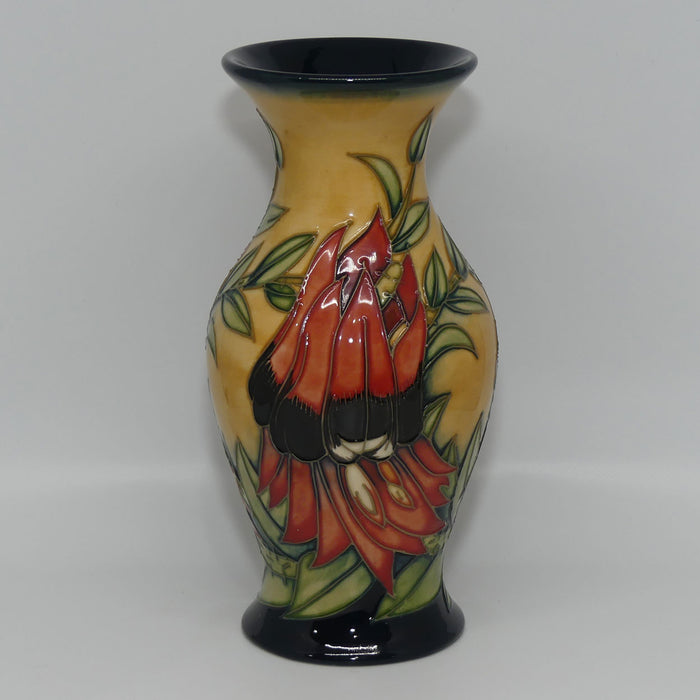 Moorcroft Sturt Desert Pea 226/7 vase | LE 229/500