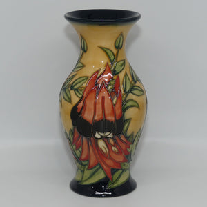 Moorcroft Pottery | Sturt Desert Pea 226/7 vase | Australian Exclusives