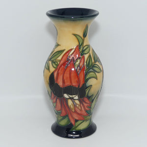 Moorcroft Sturt Desert Pea 226/7 vase | LE 75/500