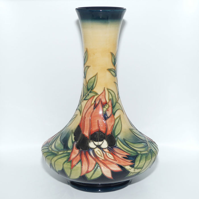 Moorcroft Sturt Desert Pea 62/11 vase | LE 81/100