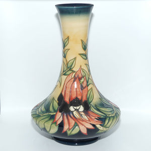 Moorcroft Pottery | Sturt Desert Pea 62/11 vase | Limited Edition