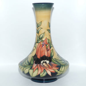 Moorcroft Pottery | Sturt Desert Pea 62/11 vase | Australian Exclusive Limited Edition