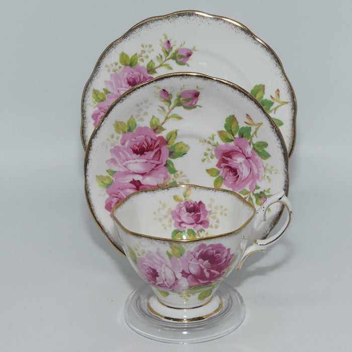 Royal Albert Bone China England American Beauty trio | Round plate | Wide Cup