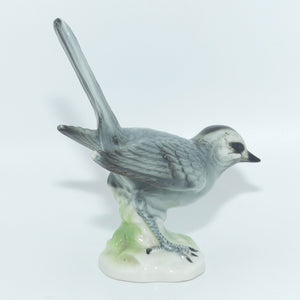 wilhelm-rittirsch-dresden-art-germany-figure-of-a-grey-bird